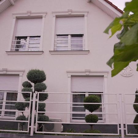 مبيت وإفطار Târgu-Mureş Vivo House المظهر الخارجي الصورة