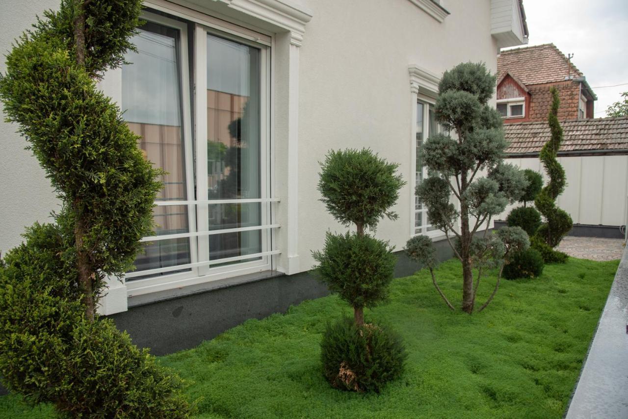 مبيت وإفطار Târgu-Mureş Vivo House المظهر الخارجي الصورة