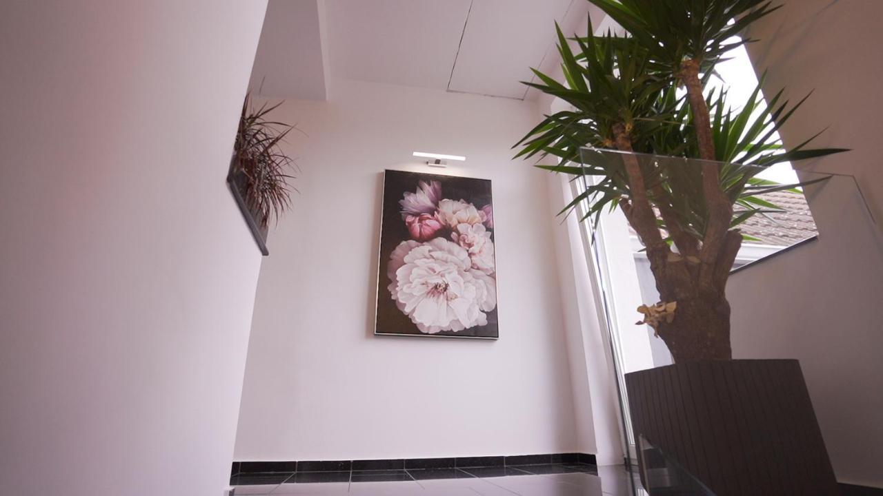 مبيت وإفطار Târgu-Mureş Vivo House المظهر الخارجي الصورة